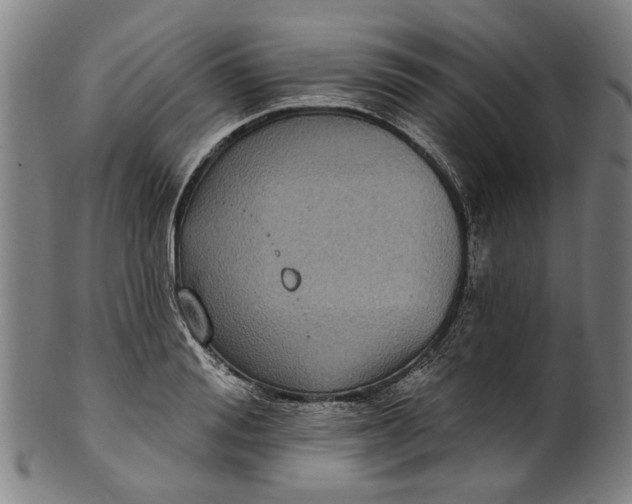 X0000101230988200807111116