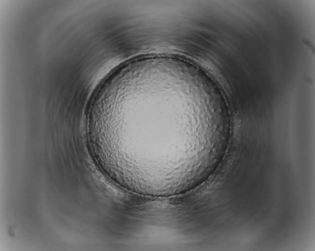 X0000101230990200807111116