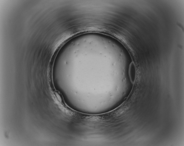 X0000101230991200807111116