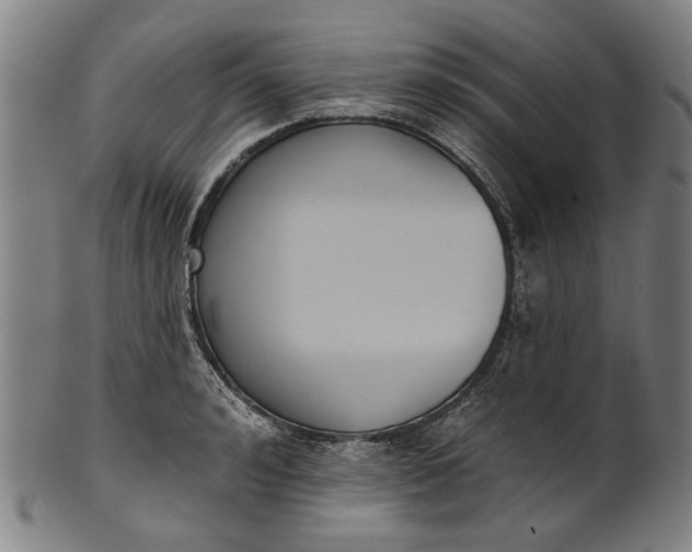 X0000101230992200807111116