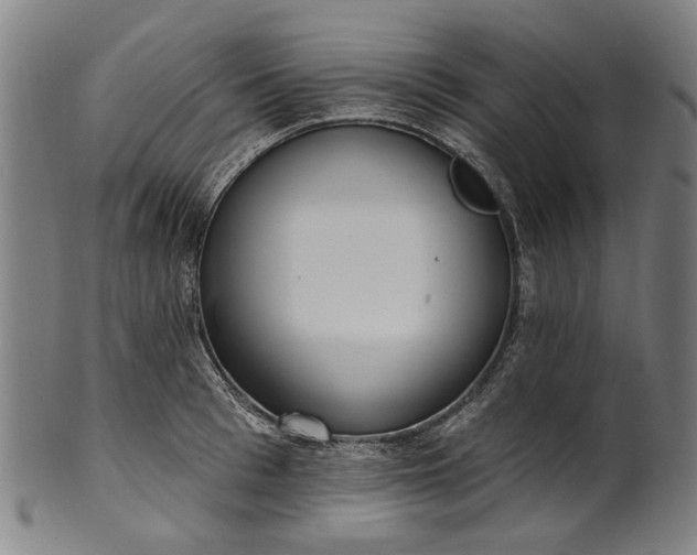 X0000101230993200807111116