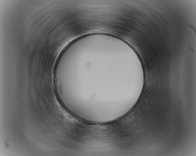 X0000101230996200807111116