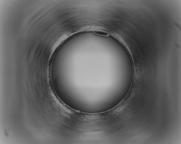 X0000101230997200807111116