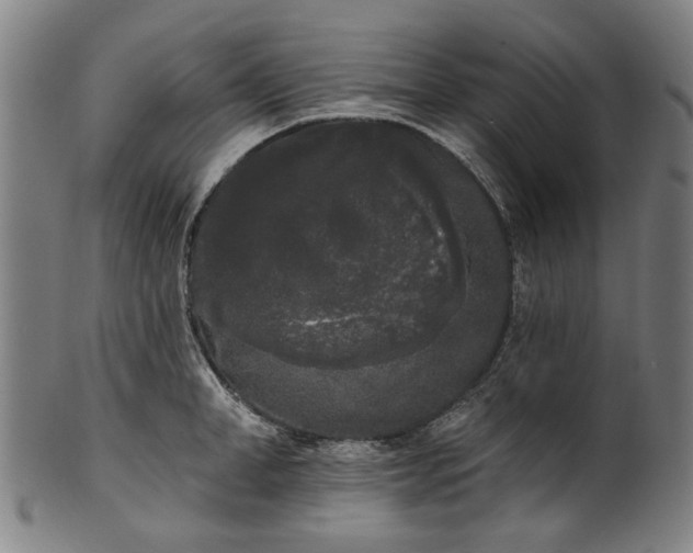 X0000101230998200807111116