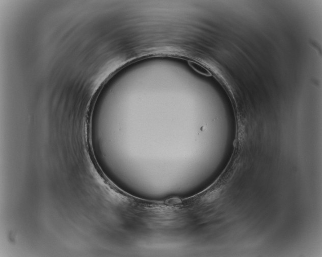 X0000101230999200807111116