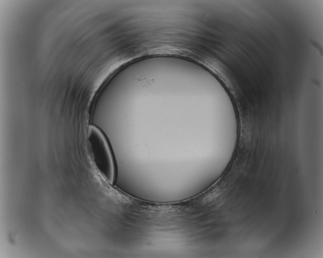 X0000101231000200807111116