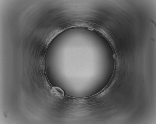 X0000101231001200807111116