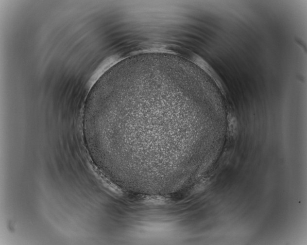 X0000101231002200807111116