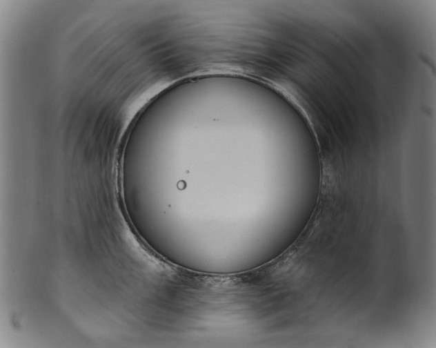 X0000101231003200807111116