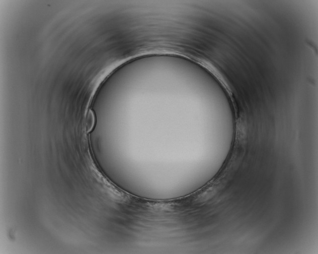 X0000101231004200807111116