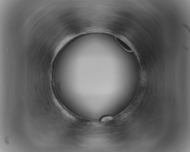 X0000101231005200807111116