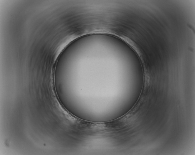 X0000101231006200807111116