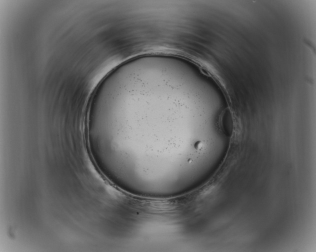 X0000101231007200807111116