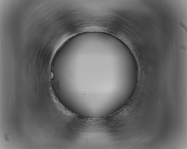 X0000101231008200807111115