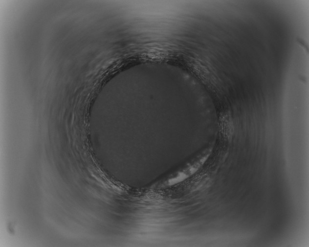 X0000101231009200807111115