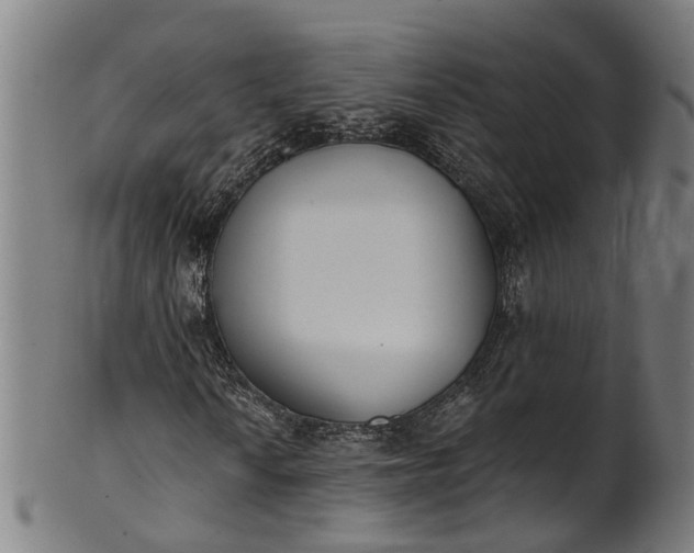 X0000101231010200807111115