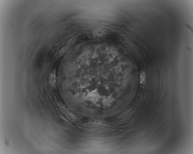 X0000101231011200807111115