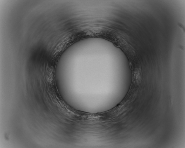 X0000101231012200807111115