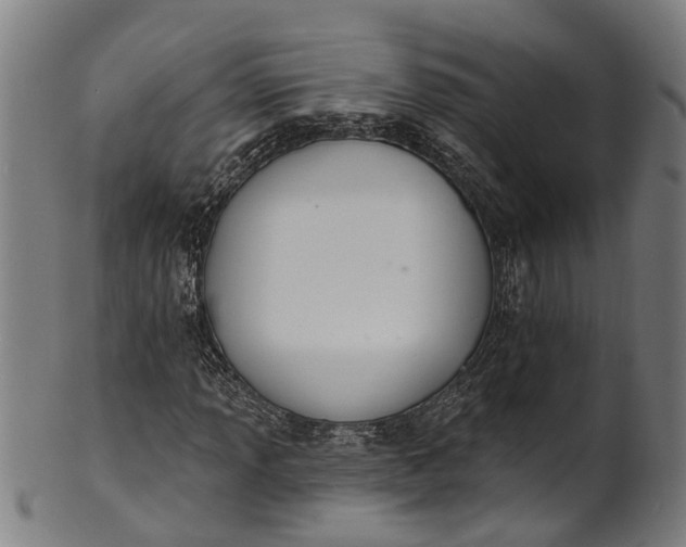 X0000101231013200807111115