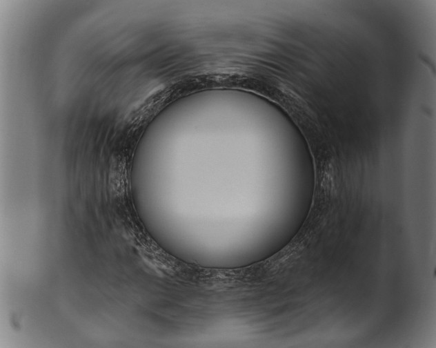 X0000101231014200807111115