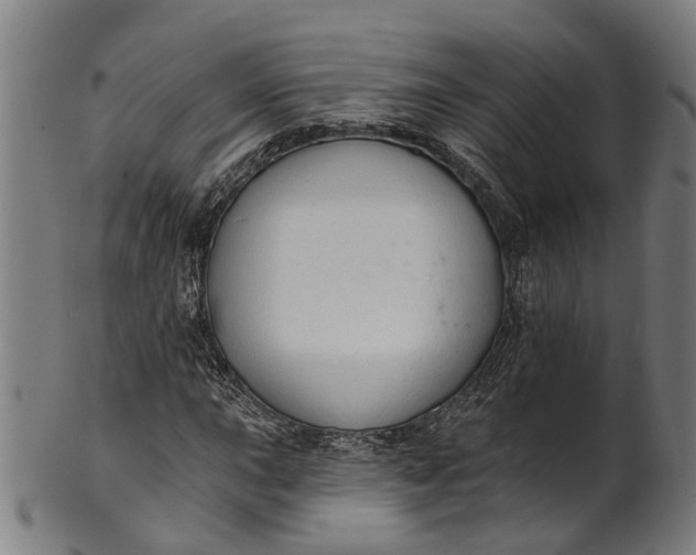 X0000101231015200807111115