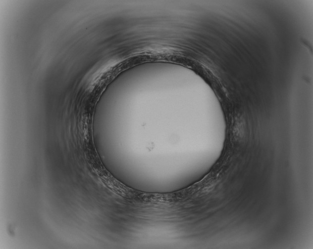 X0000101231016200807111115