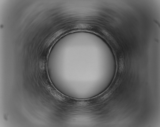 X0000101231017200807111115