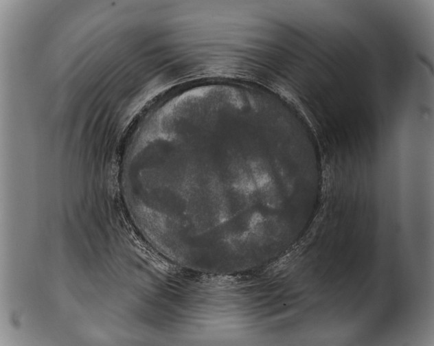 X0000101231019200807111115