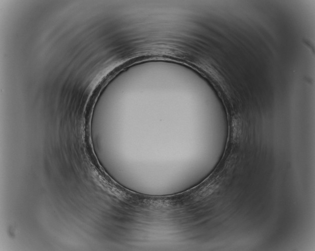 X0000101231020200807111115