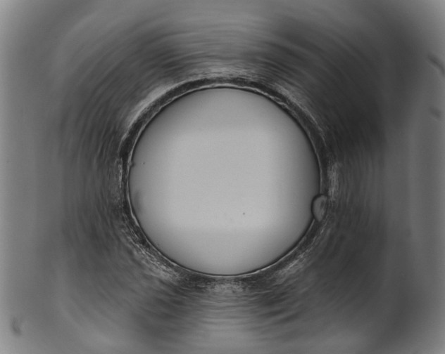 X0000101231021200807111115