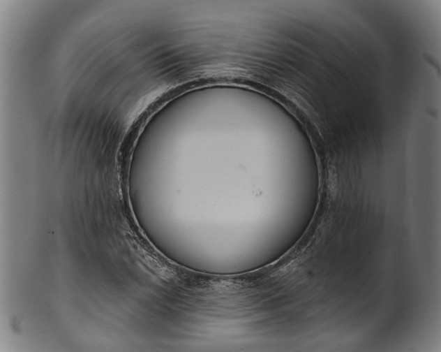 X0000101231022200807111115