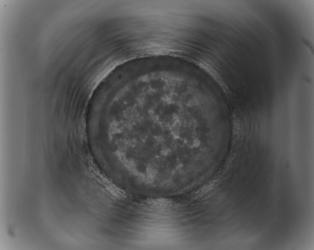 X0000101231023200807111115