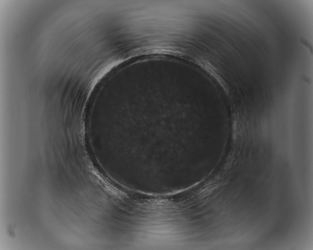 X0000101231024200807111115