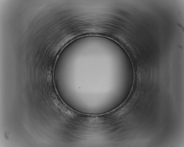 X0000101231025200807111115