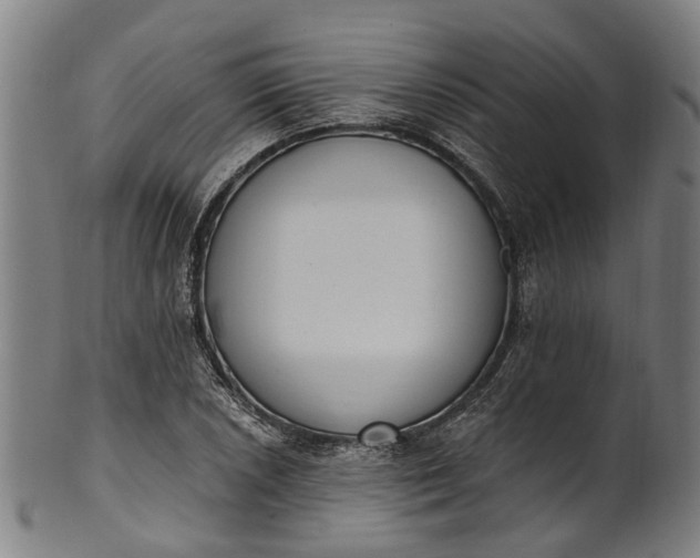 X0000101231026200807111115