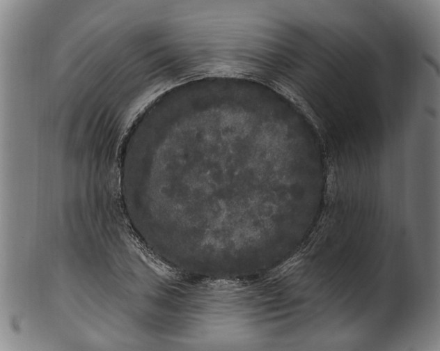 X0000101231027200807111115