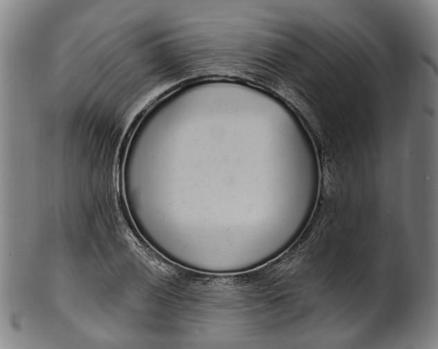 X0000101231028200807111115