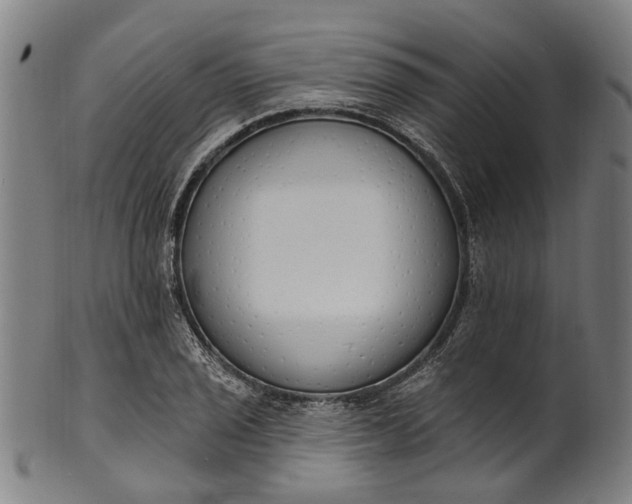 X0000101231029200807111115