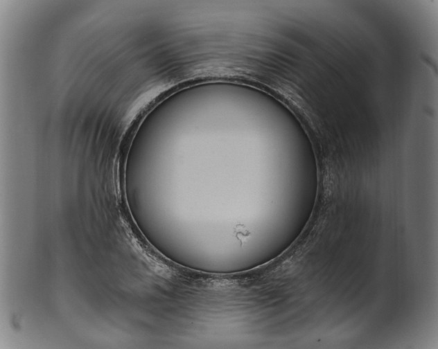 X0000101231030200807111115