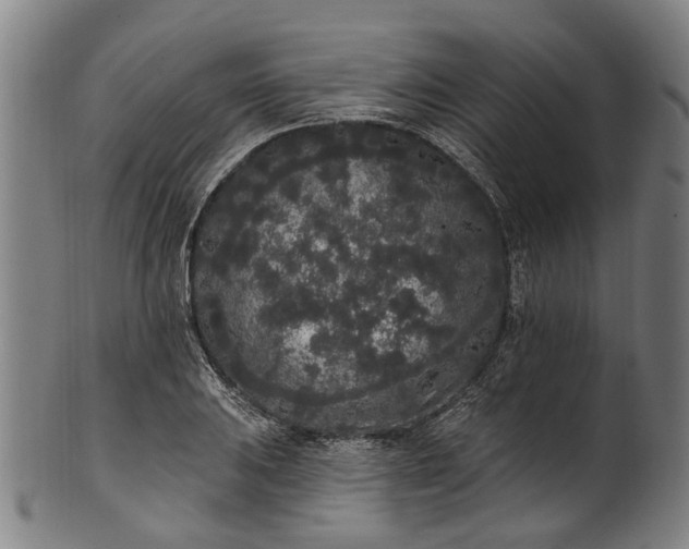 X0000101231031200807111115