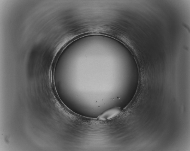 X0000101231032200807111115