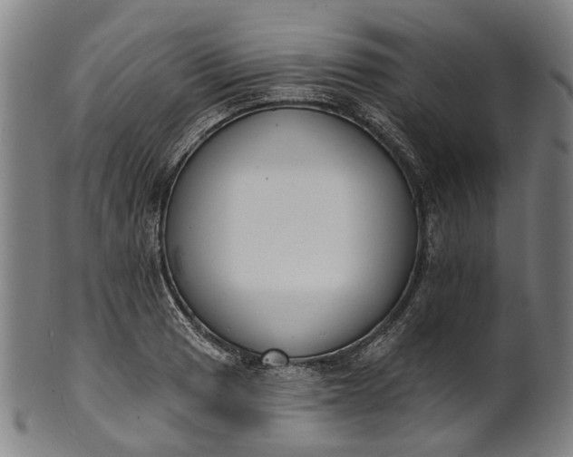 X0000101231033200807111115