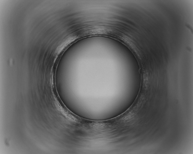 X0000101231034200807111115