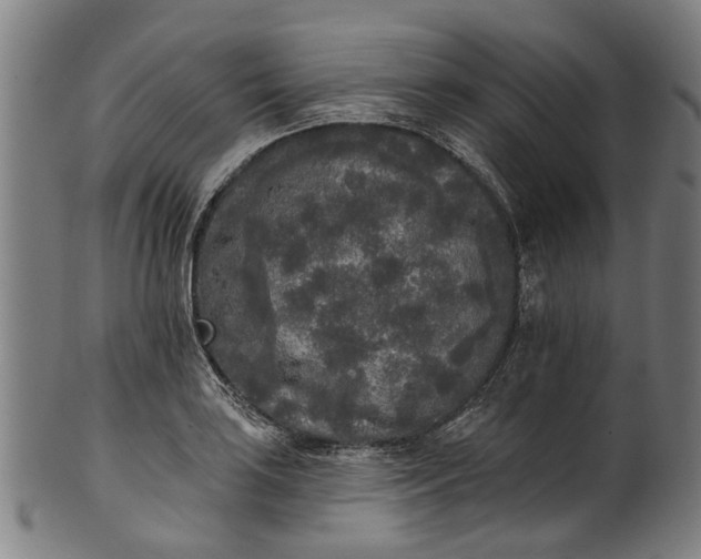 X0000101231035200807111115