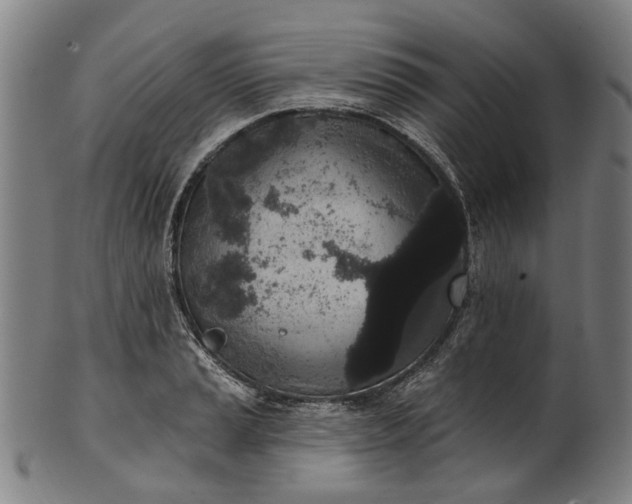 X0000101231037200807111115