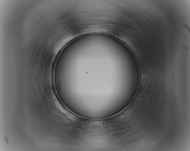 X0000101231038200807111115