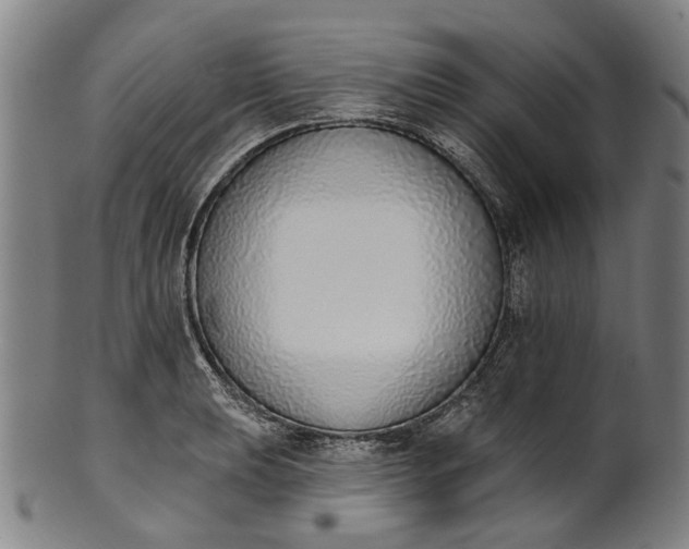 X0000101231039200807111115