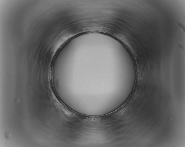 X0000101231040200807111115