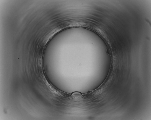 X0000101231041200807111115