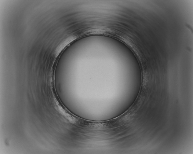 X0000101231042200807111115